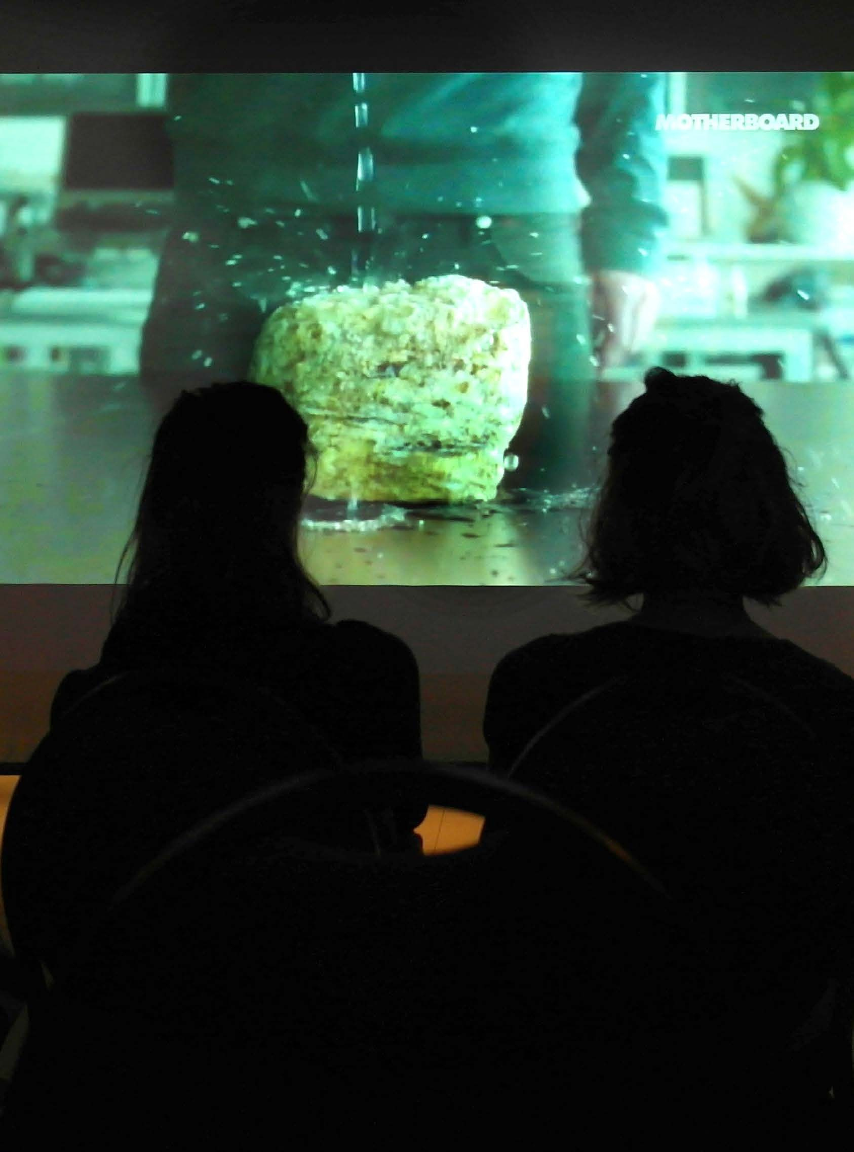 Bezoekers bekijken de introductiefilm over paddenstoelen