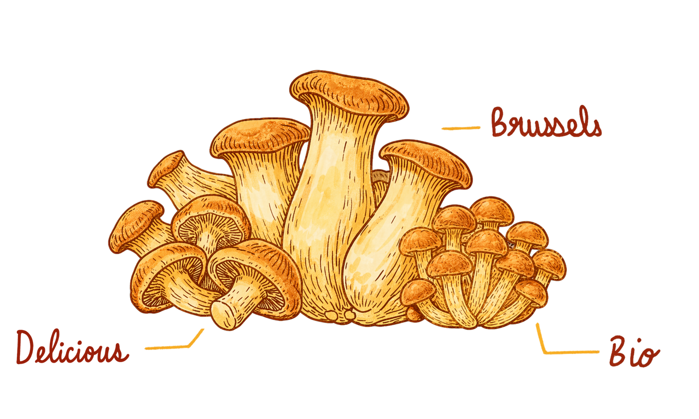 Discovery Box met een selectie van onze paddenstoelen